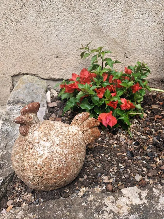 Le Jardin Secret Bed & Breakfast Saint-Antonin-Noble-Val