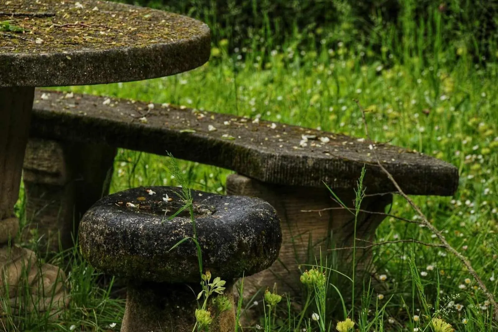 Le Jardin Secret Bed & Breakfast Saint-Antonin-Noble-Val
